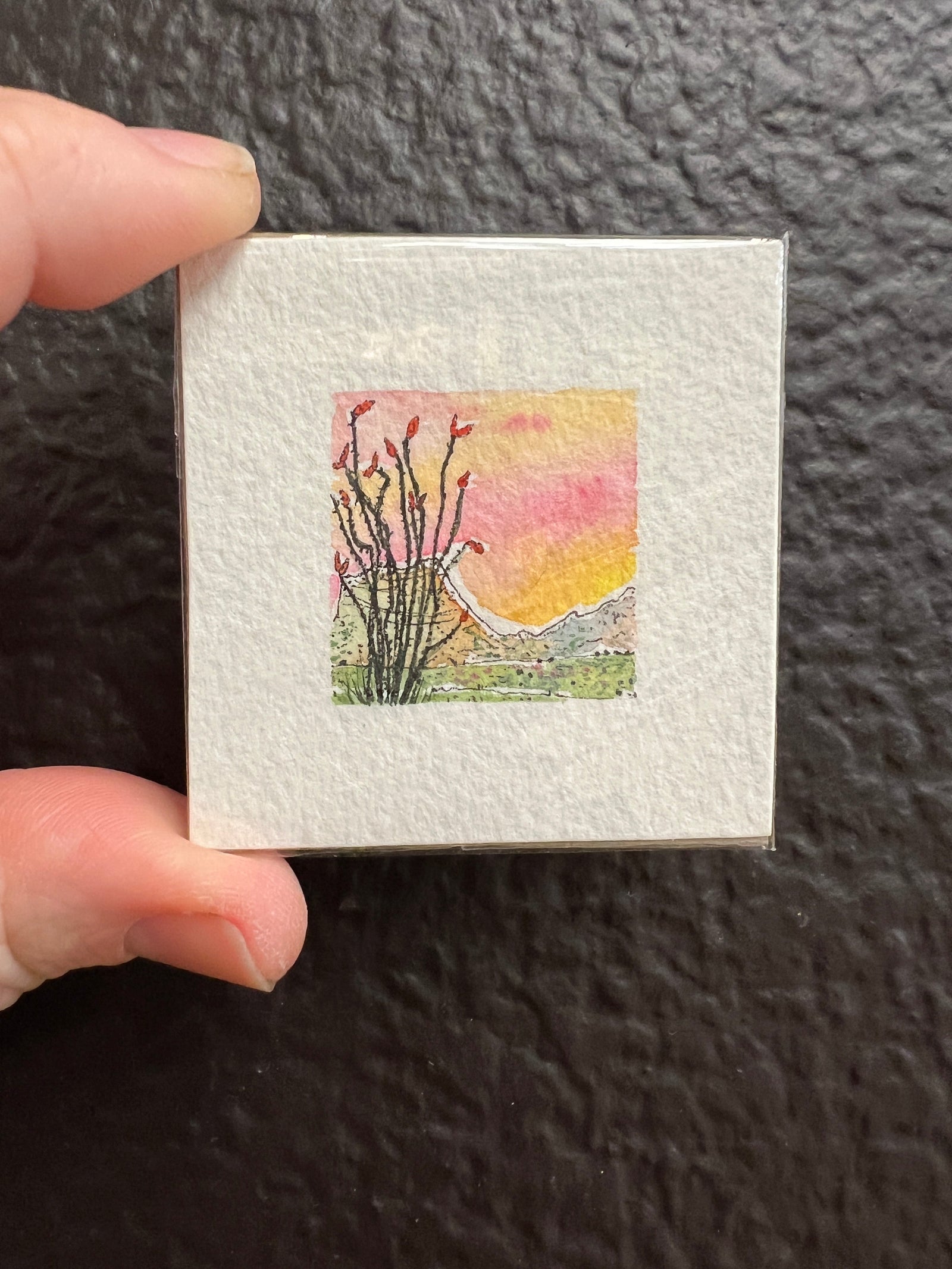 Sally Van Horn - Original Artwork