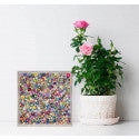 Flower Couture Mini Framed Canvas Print by Eli Halpin