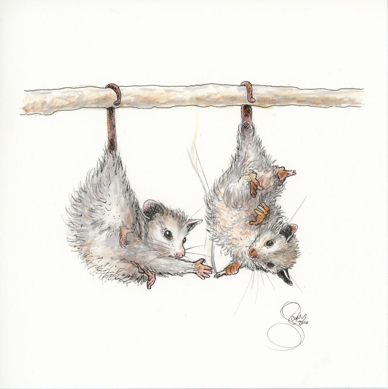 Hangin' Opossums Print by Janis Fowler