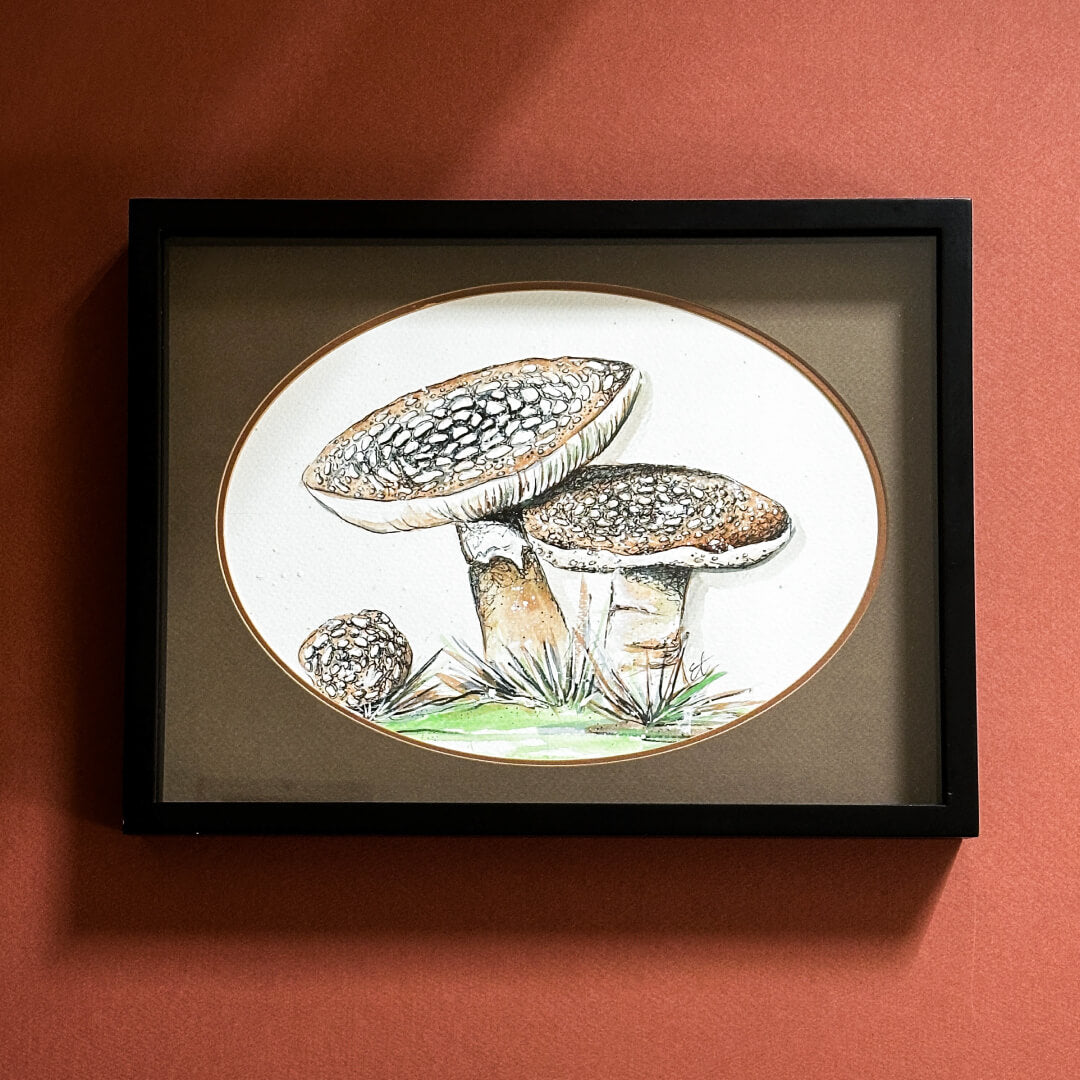 Amanita Rubescens by Emily Tolipova of Where'd The Wild Things Go