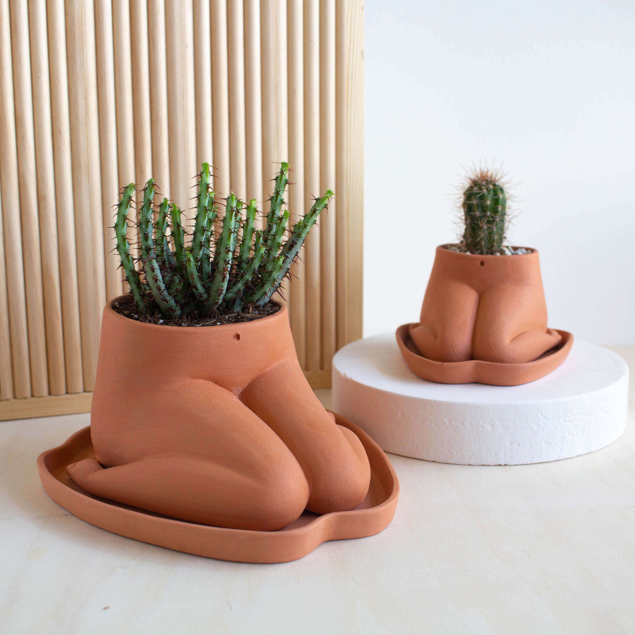 This planter series is inspired by the leggy lower half of our bodies.