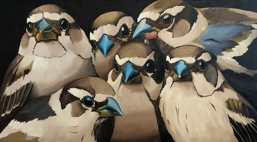 Look At Me by Avi Odenheimer