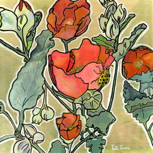 Globe Mallow Print by Katie Chance