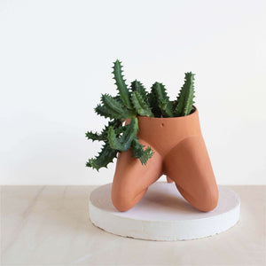 This planter series is inspired by the leggy lower half of our bodies.