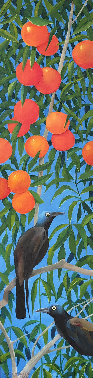 The Edge by Avi Odenheimer