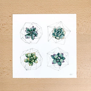 Geometric Succulent Studies Print by Chloe Gray