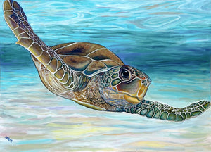 Sea Turtle 6 by Holly Glenn