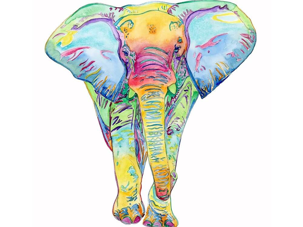 Colorful Elephant Cards by Emily Mercedes