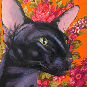 Oriental Shorthair Cat by Phillip Seymour