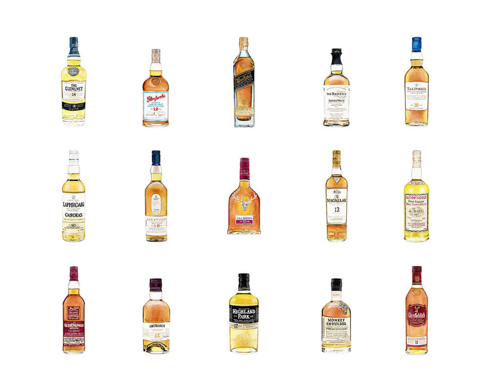 Scotch Collection Print by Emily Mercedes + 11" x 14"