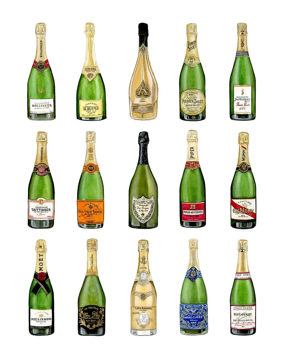 Champagne Collection Print by Emily Mercedes