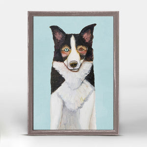 Border Collie on Sky Blue Mini Framed Canvas Print by Eli Halpin