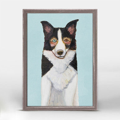 Border Collie on Sky Blue Mini Framed Canvas Print by Eli Halpin