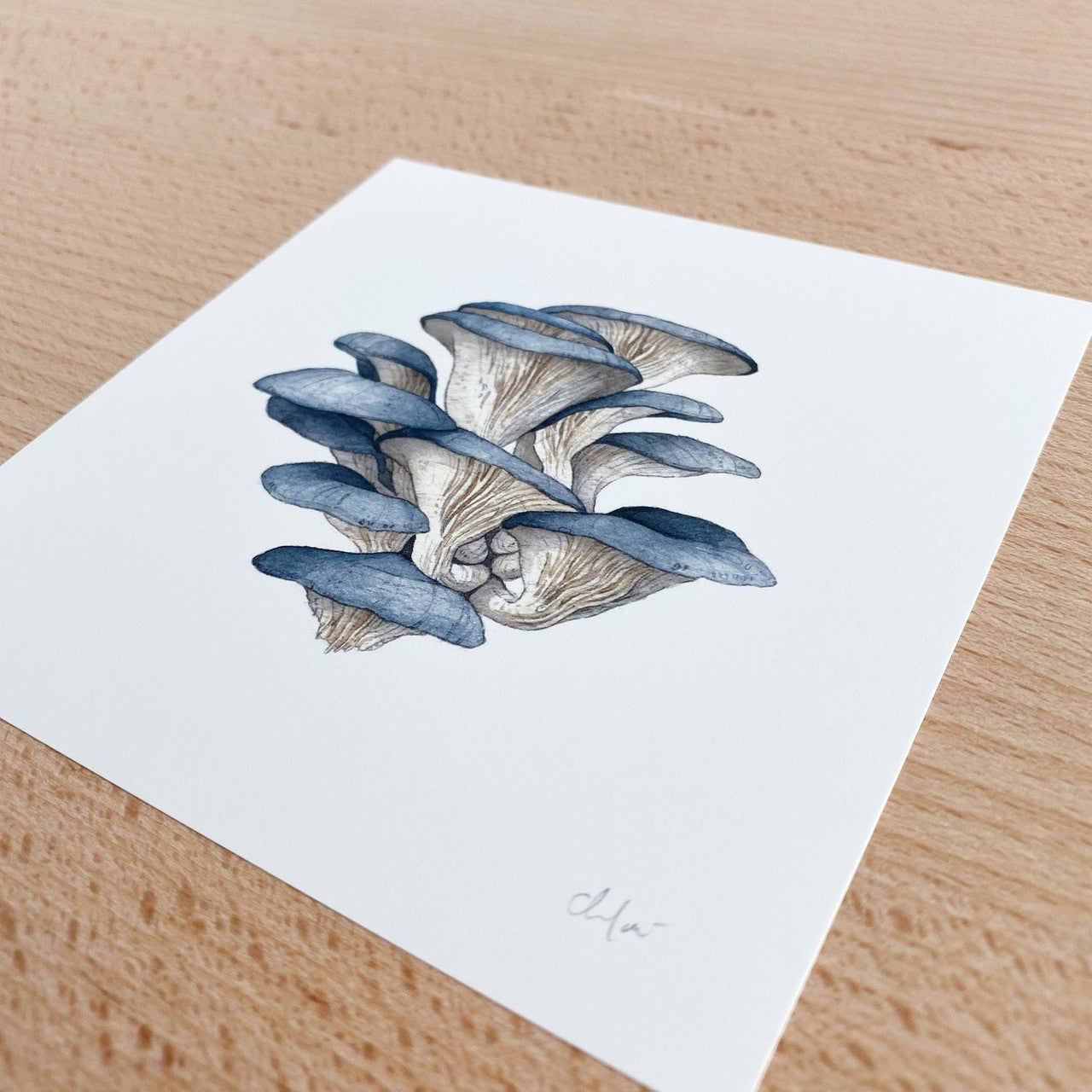 Mushroom Study #2, Blue Oyster Mini Print by Chloe Gray