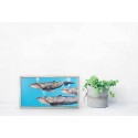 Humpback Whale Pod Mini Framed Canvas Print by Eli Halpin