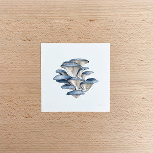 Mushroom Study #2, Blue Oyster Mini Print by Chloe Gray