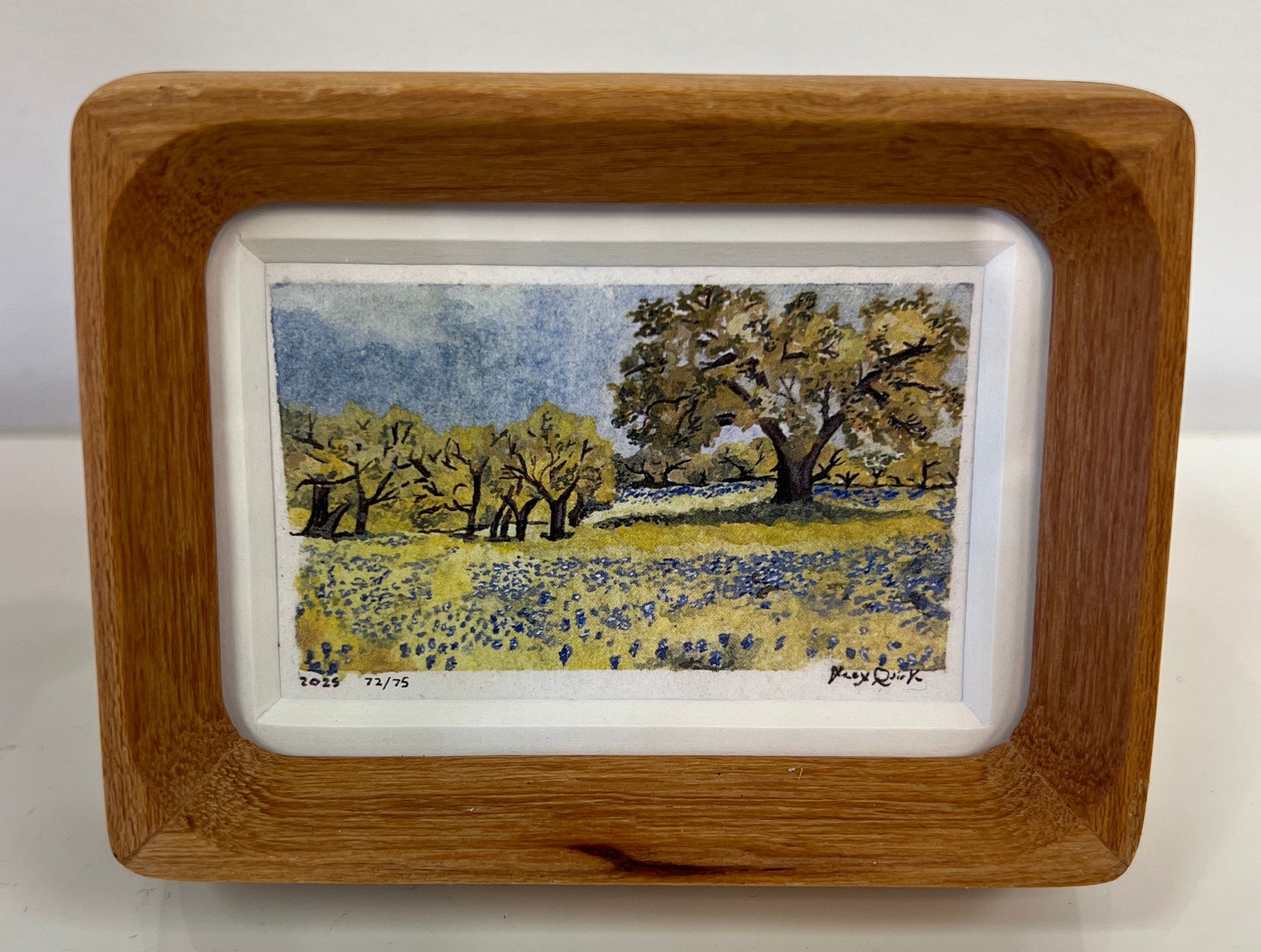 Live Oak and Bluebonnets Mini Print by Alex Quirk + Wood Frame
