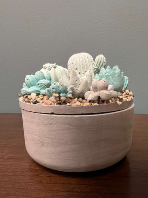 Concrete Succulent Garden Lidded Container by Awkward Auntie + Charcoal