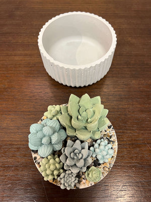 Concrete Ribbed Succulent Garden Lidded Container by Awkward Auntie + Tan