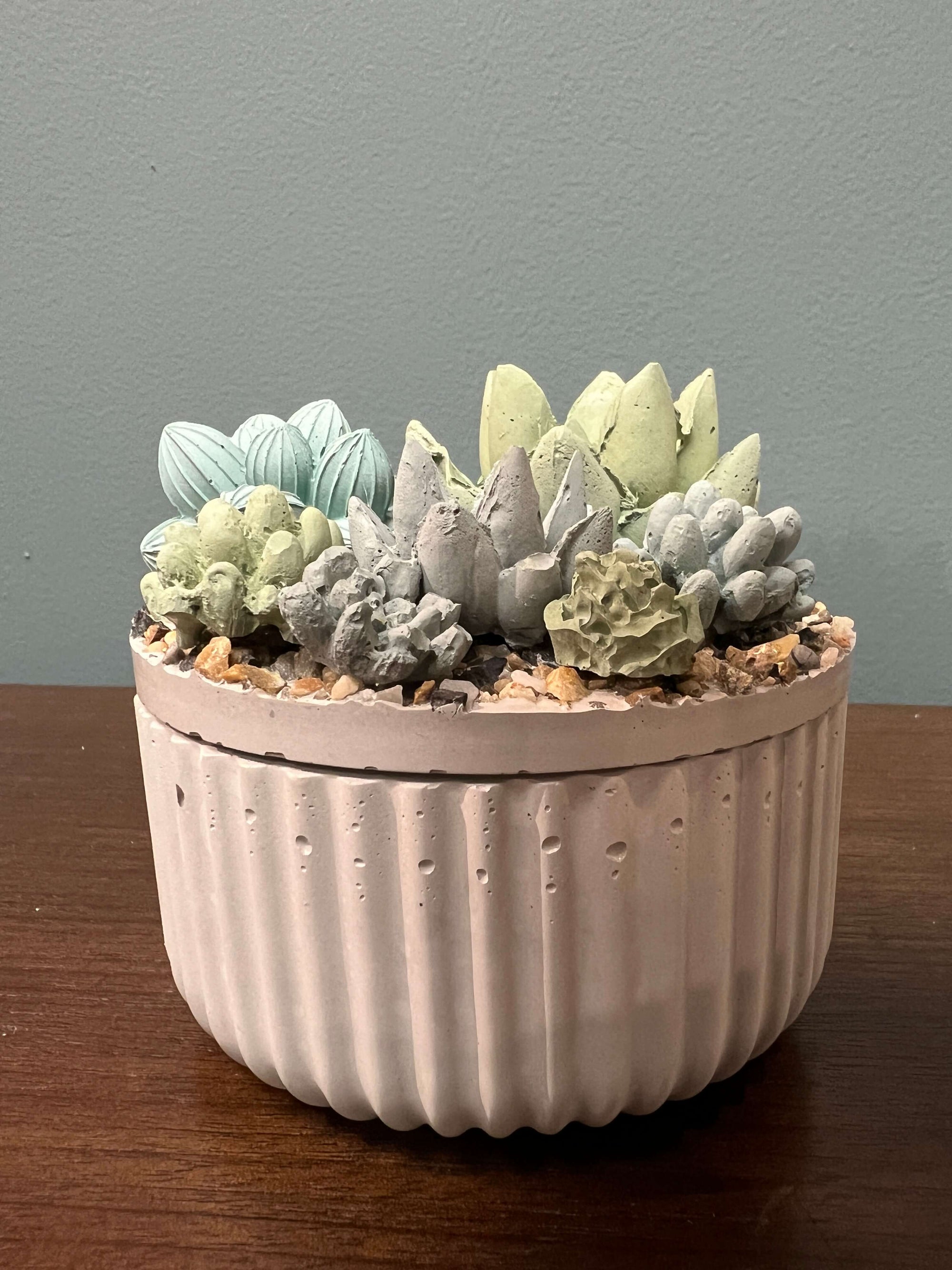 Concrete Ribbed Succulent Garden Lidded Container by Awkward Auntie + Tan