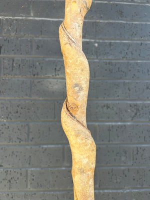 Spiraled Kitchen Broom by Blue Cypress Botanicals