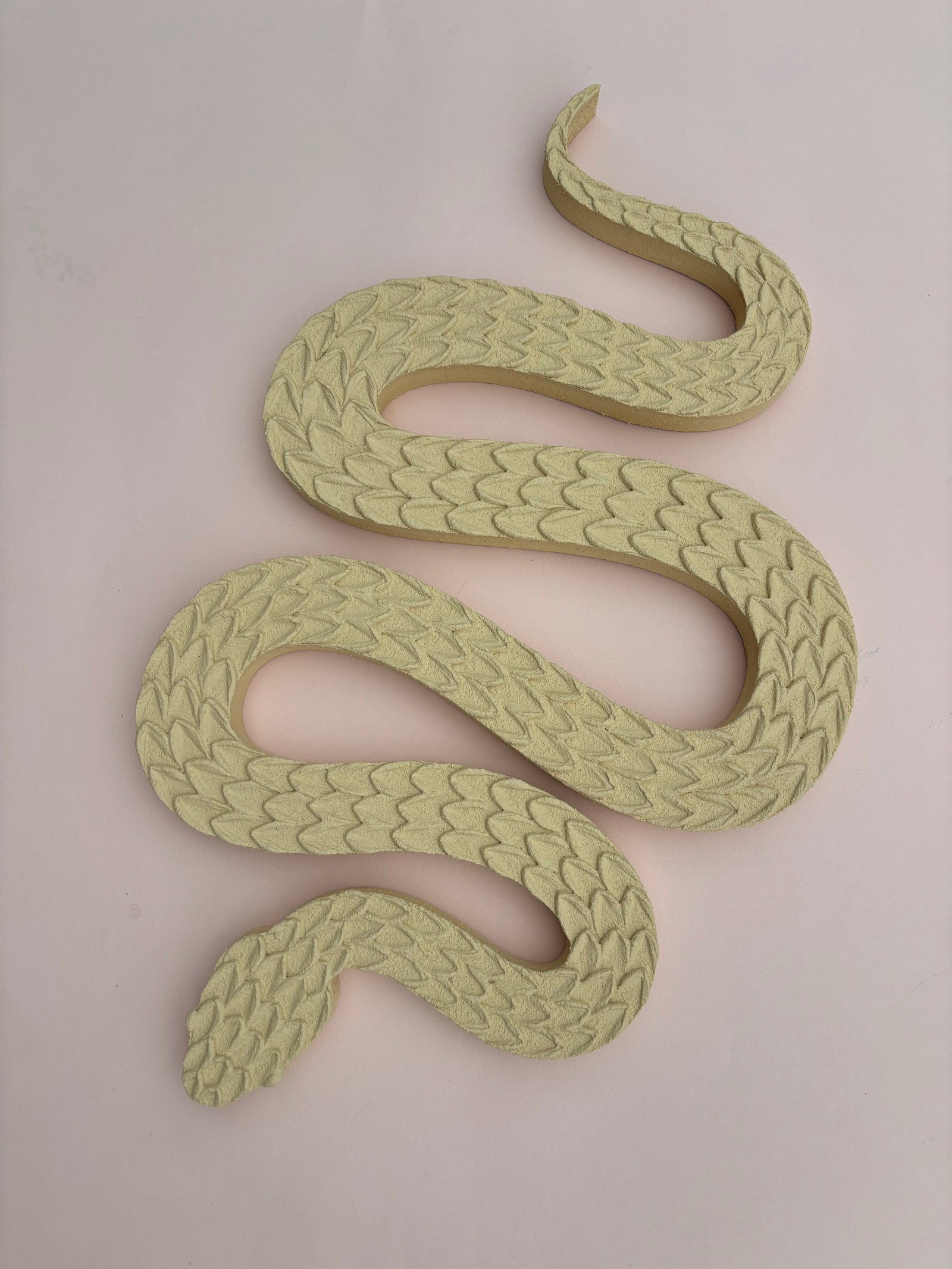 Sand Snake by Clarissa Sylva