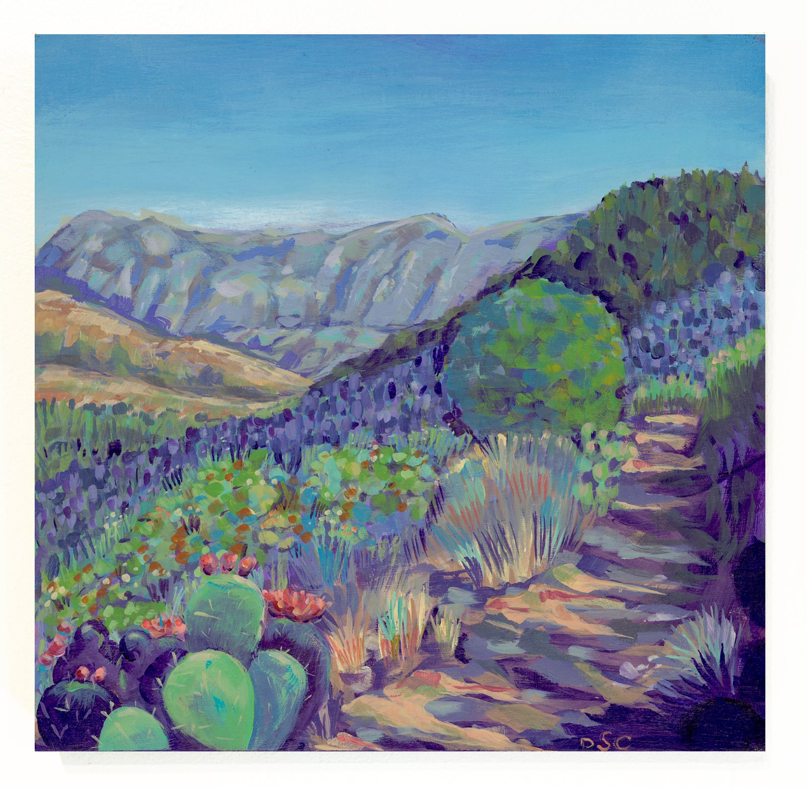 Big Bend, Basin Trail by Debbie Shands Celusniak