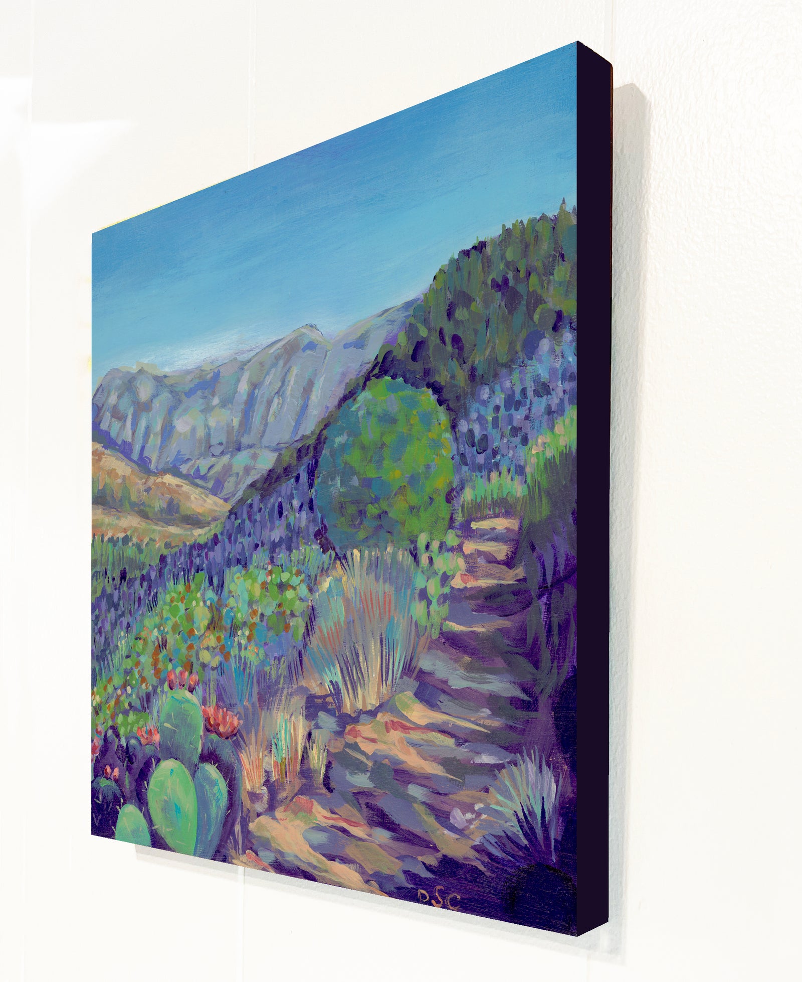 Big Bend, Basin Trail by Debbie Shands Celusniak