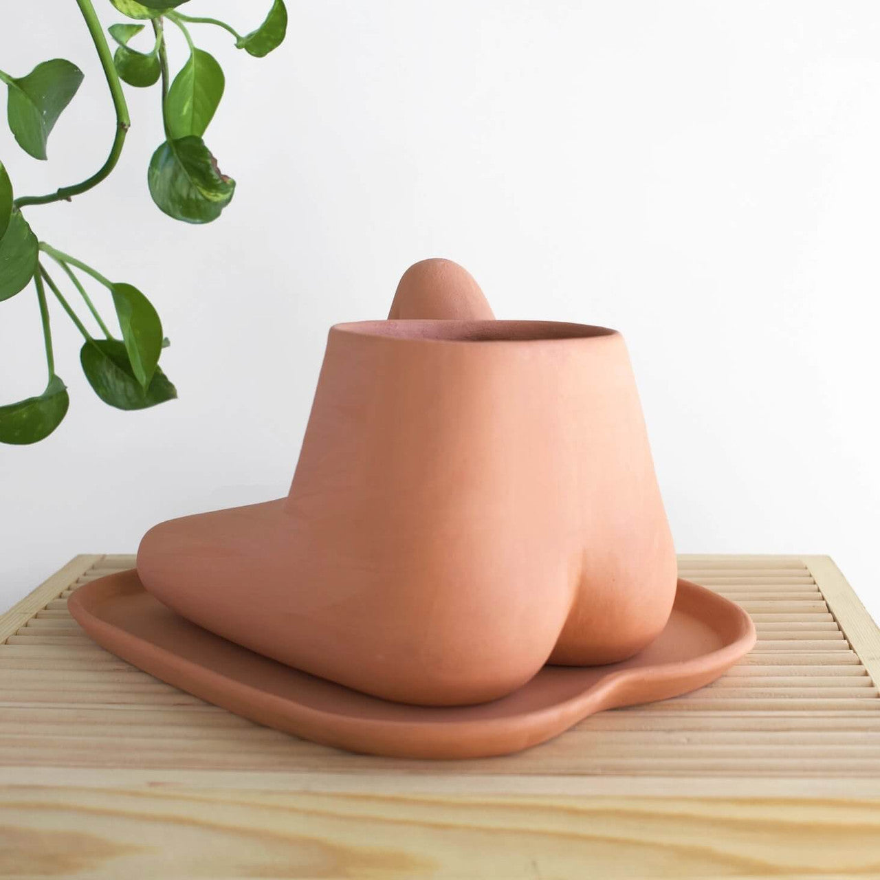 This planter series is inspired by the leggy lower half of our bodies.