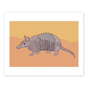 Armadillo Print by Cara Jackson