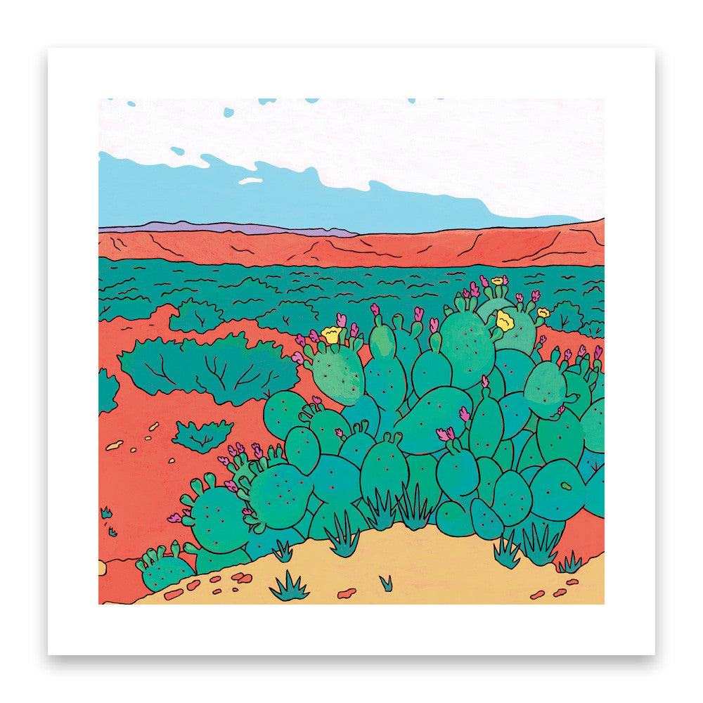 Caprock Canyons Print by Cara Jackson