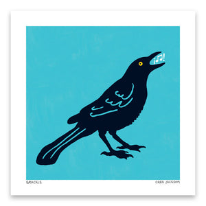 Grackle Print by Cara Jackson