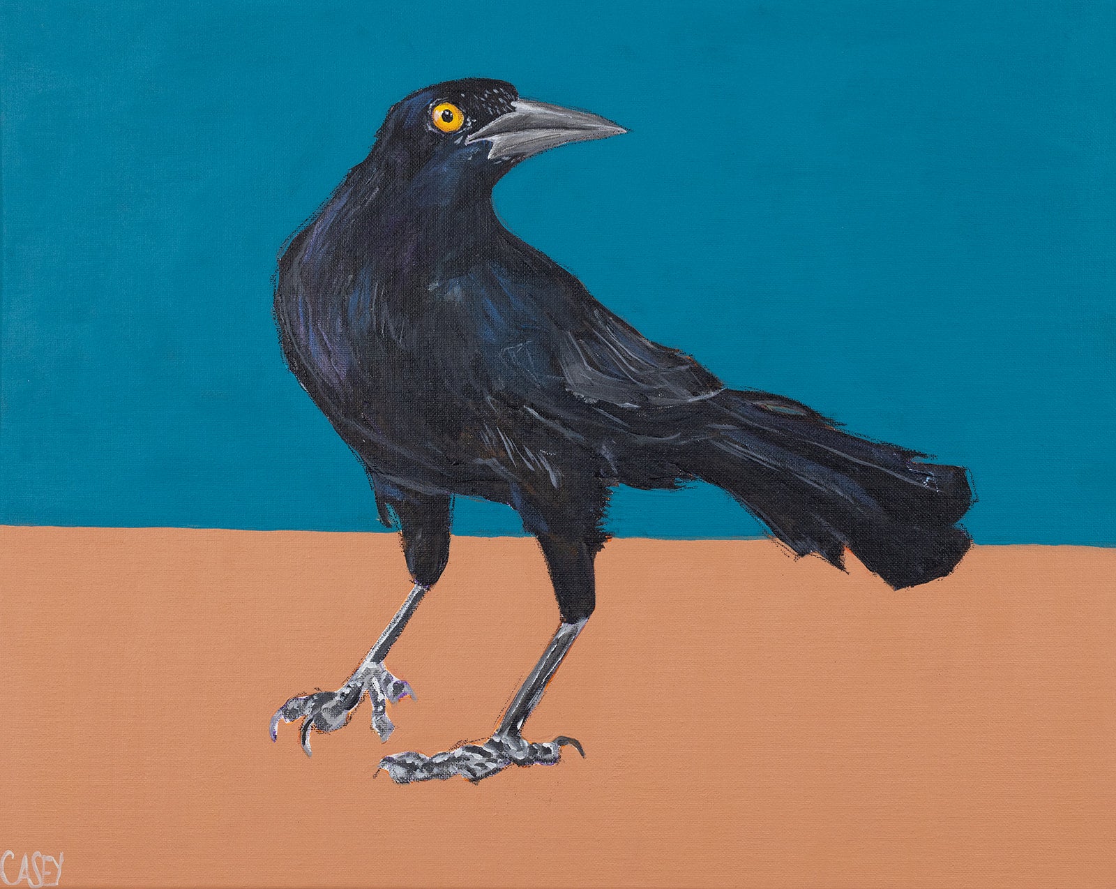 Nigel by Casey Gallagher