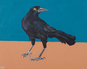 Nigel by Casey Gallagher