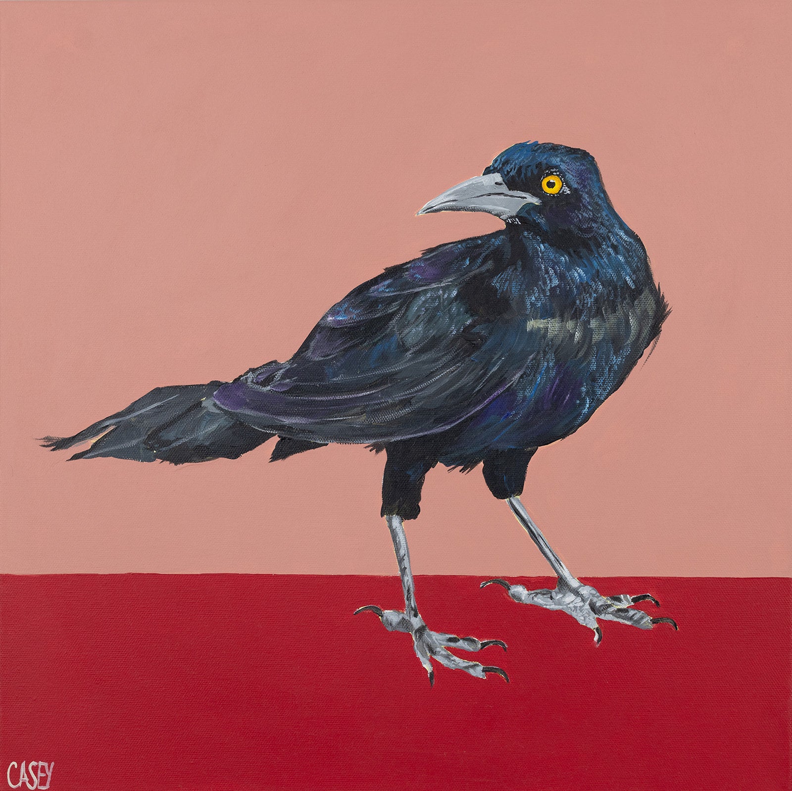 Randall by Casey Gallagher