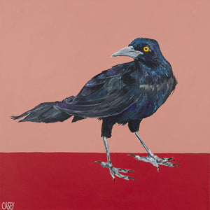 Randall by Casey Gallagher