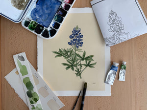 Bluebonnet Print by Chloé Gray