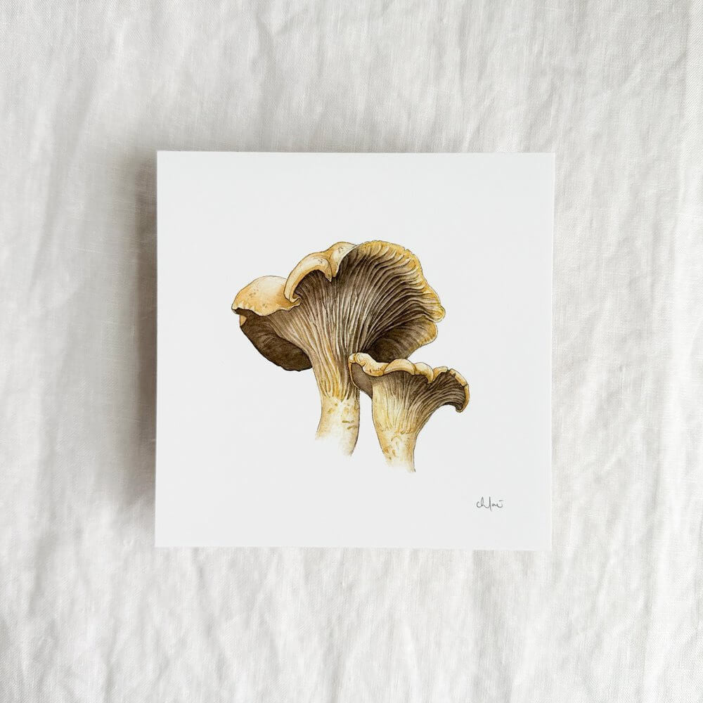 Chanterelle Mini Print by Chloé Jane Gray