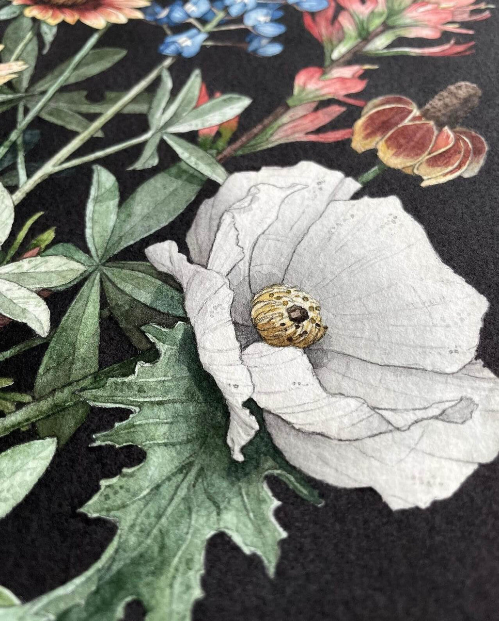 Where Flowers Bloom Print by Chloé Jane Gray