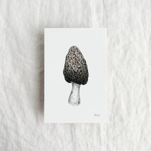 Morel Mushroom Print by Chloé Gray