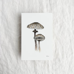 Parasol Mushroom Mini Print by Chloé Gray