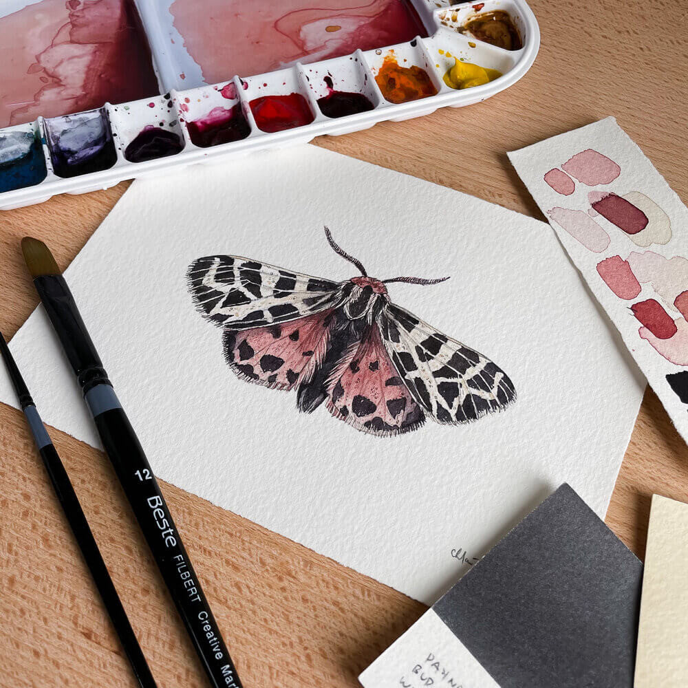 Virgin Tiger Moth Print by Chloé Gray - 4”h x 6”w print