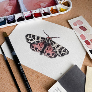 Chloe Gray's realistic print of a Virgin Tiger Moth