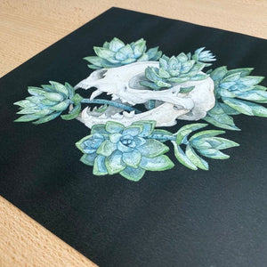 Cat Skull Print by Chloe Gray