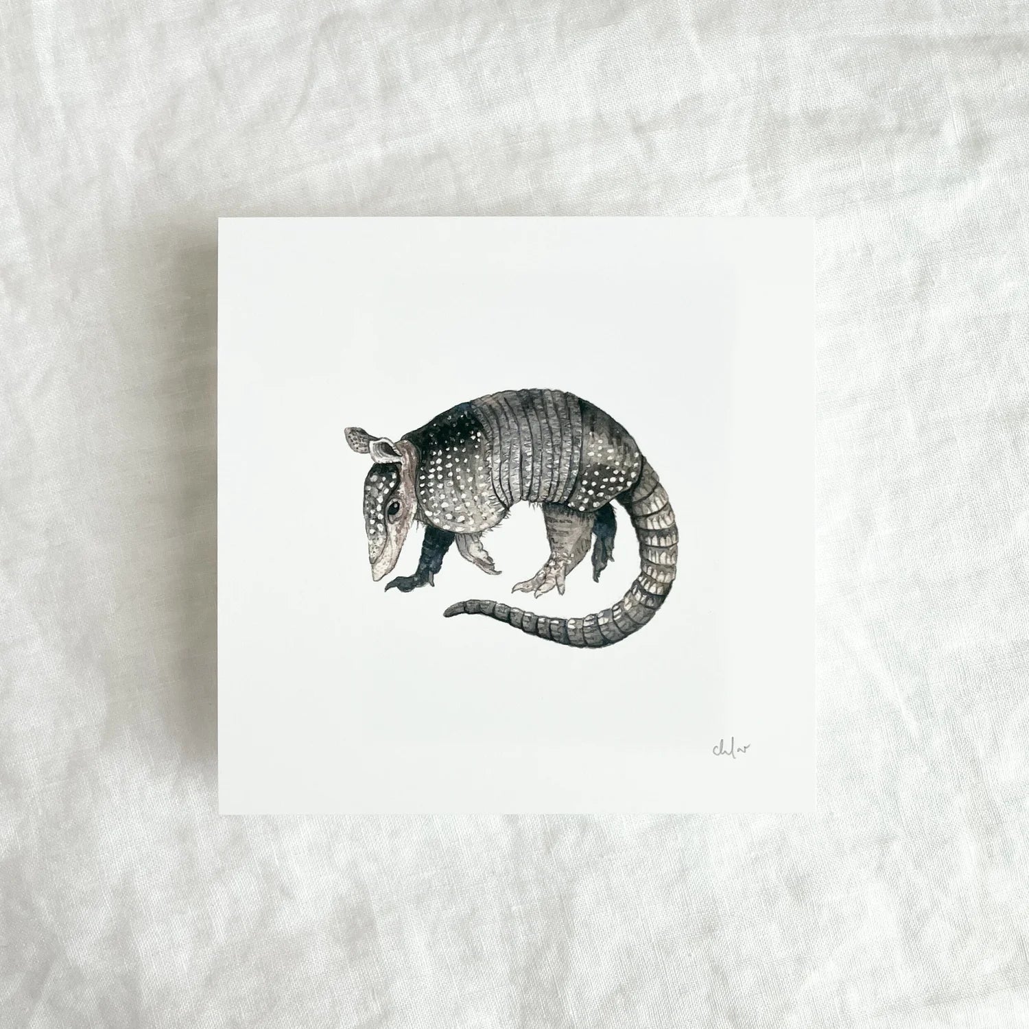 Armadillo Mini Print by Chloé Gray