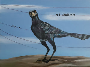 Grackle by Christina Green-Martinez