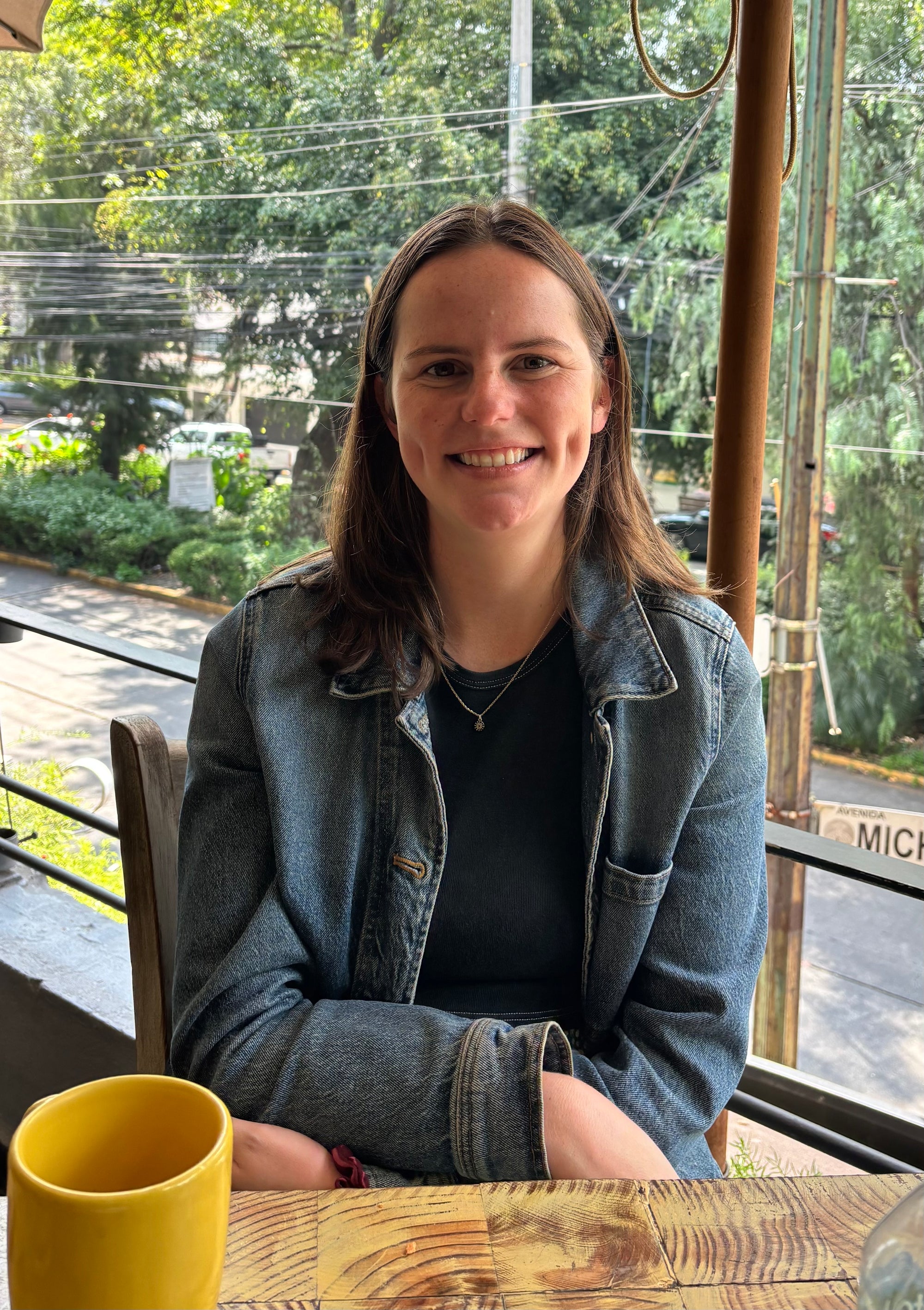 Mountainclimb by Clara Hart