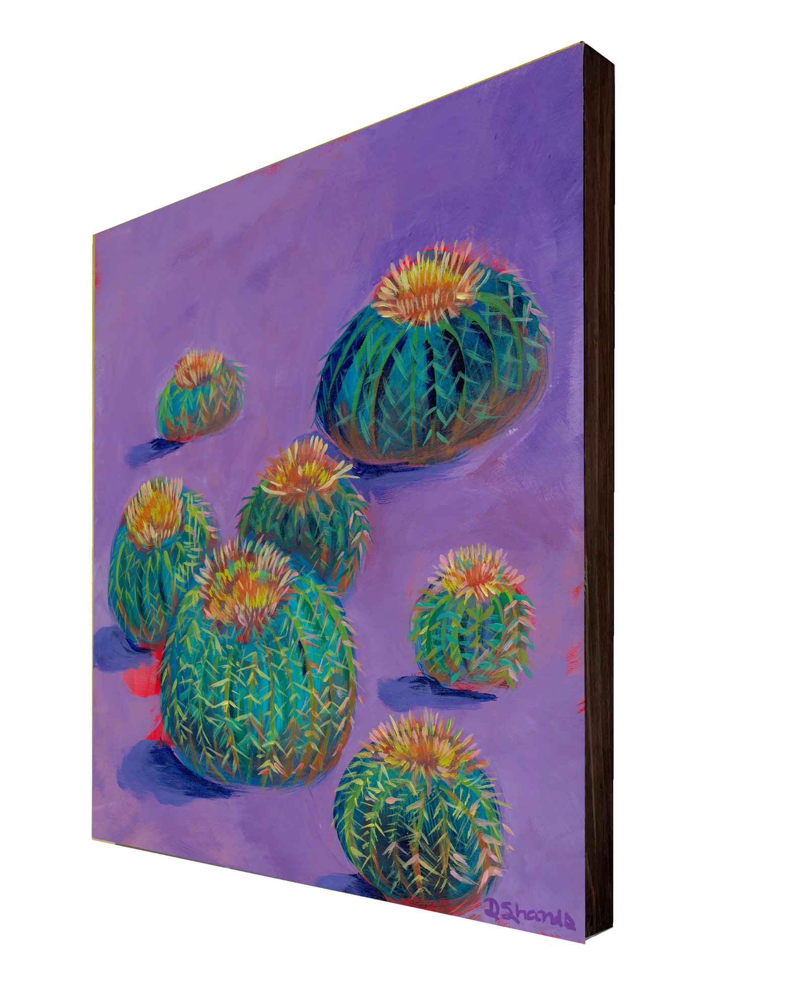 Golden Barrel Cactus by Debbie Shands Celusniak