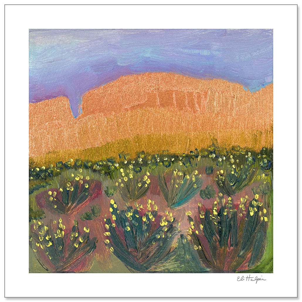 Desert Shrubs by Eli Halpin + 12"x12" Paper