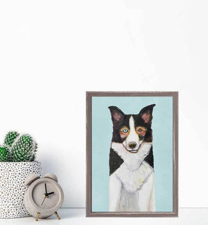 Border Collie on Sky Blue Mini Framed Canvas Print by Eli Halpin